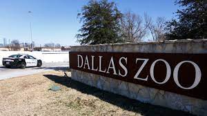 Monkeys missing from Dallas Zoo