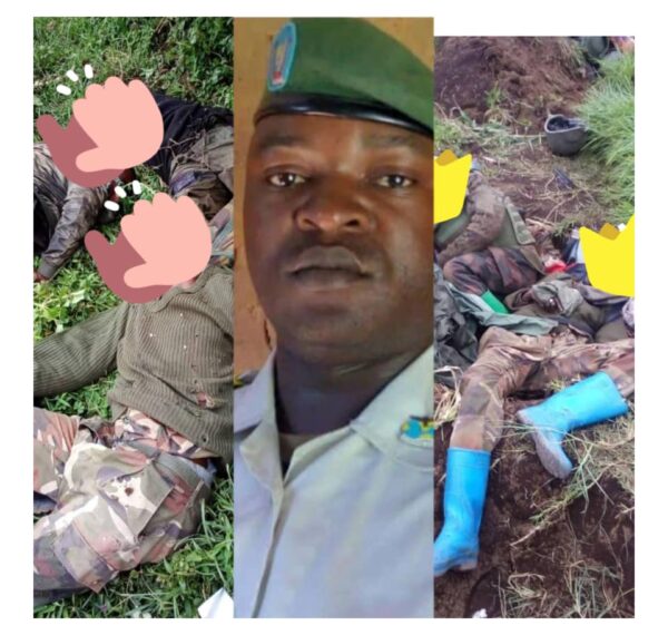 Col Aimedo and 200 FARDC soldiers were killed by M23