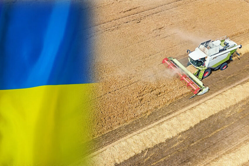 Eastern European countries push for bans on Ukrainian grain to be extended until 2024