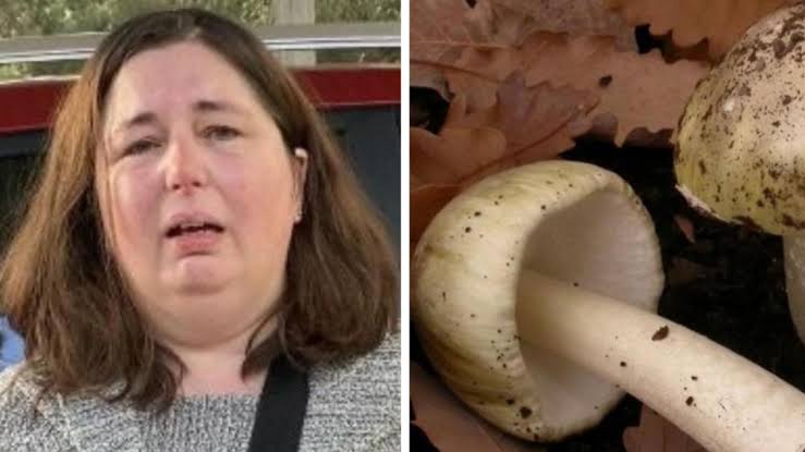 Woman who prepared mushroom lunch that claimed 3 lives speaks out