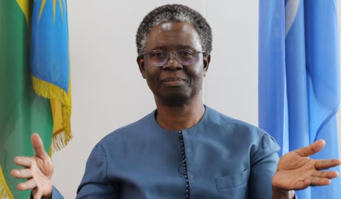 Former UN Rwanda coordinator talks country’s ‘favourite homegrown solutions’